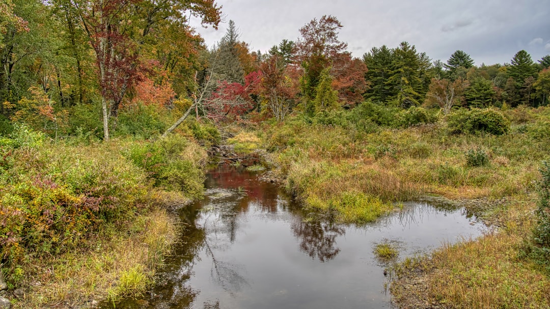 Steps to Sell Your Connecticut Land Quickly