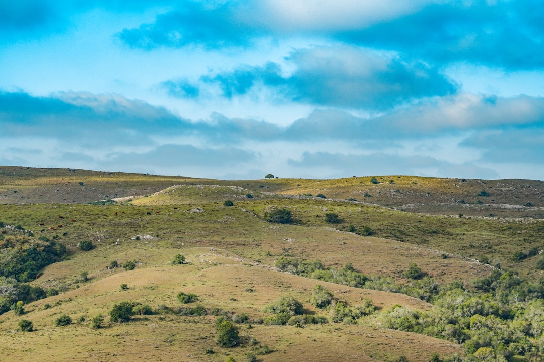 Land surveys