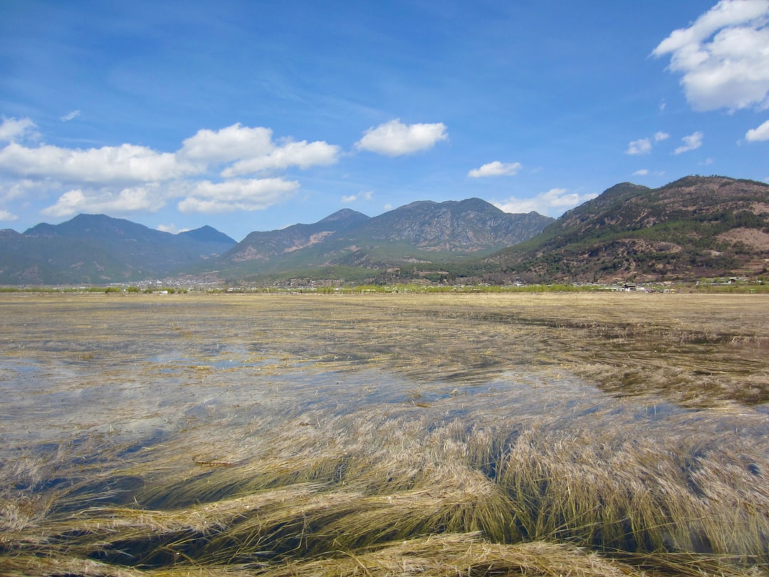 Environmental assessments for land
