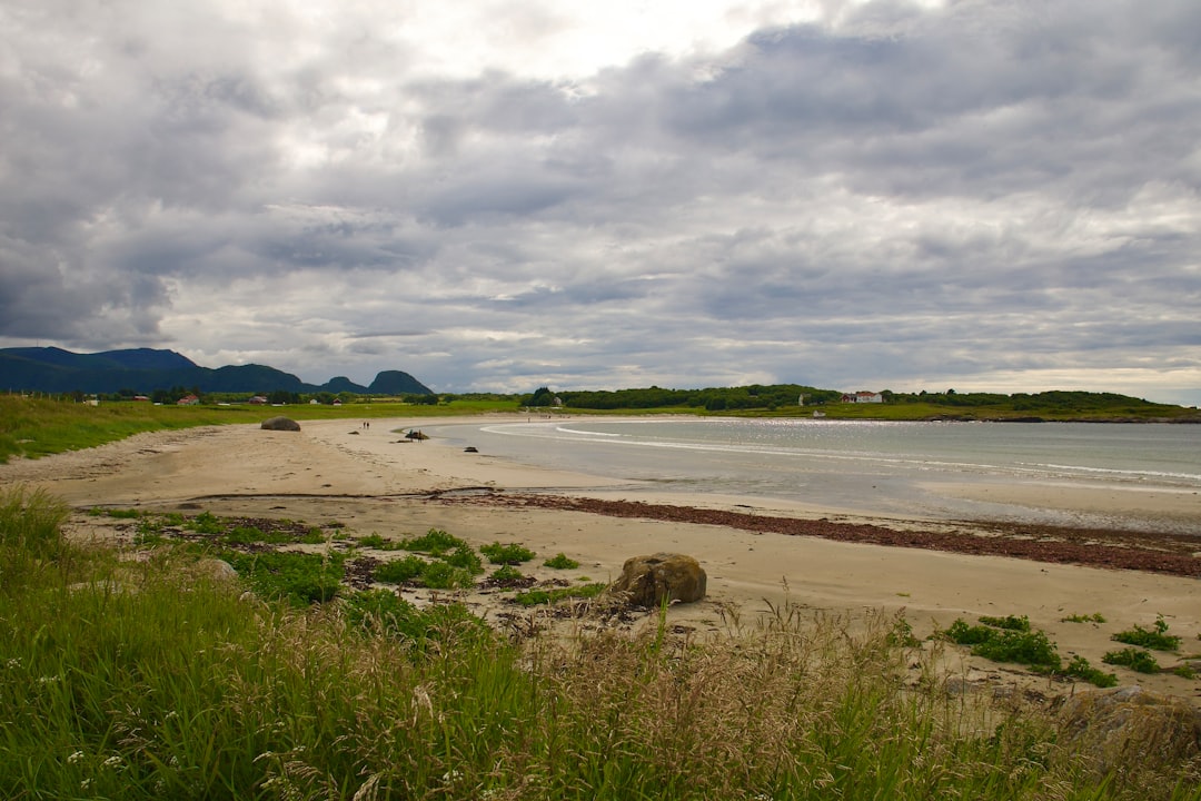 Commercial land buying