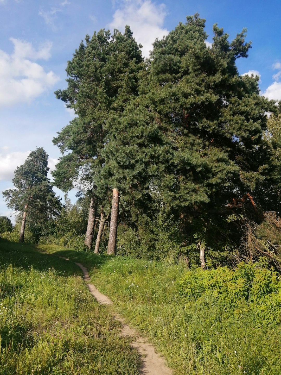 Picking the Right Purchaser for Your Land