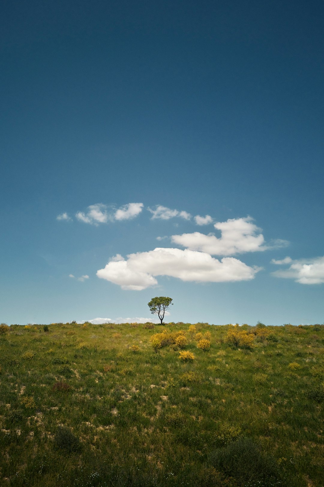 Choosing the Right Buyer for Your Land
