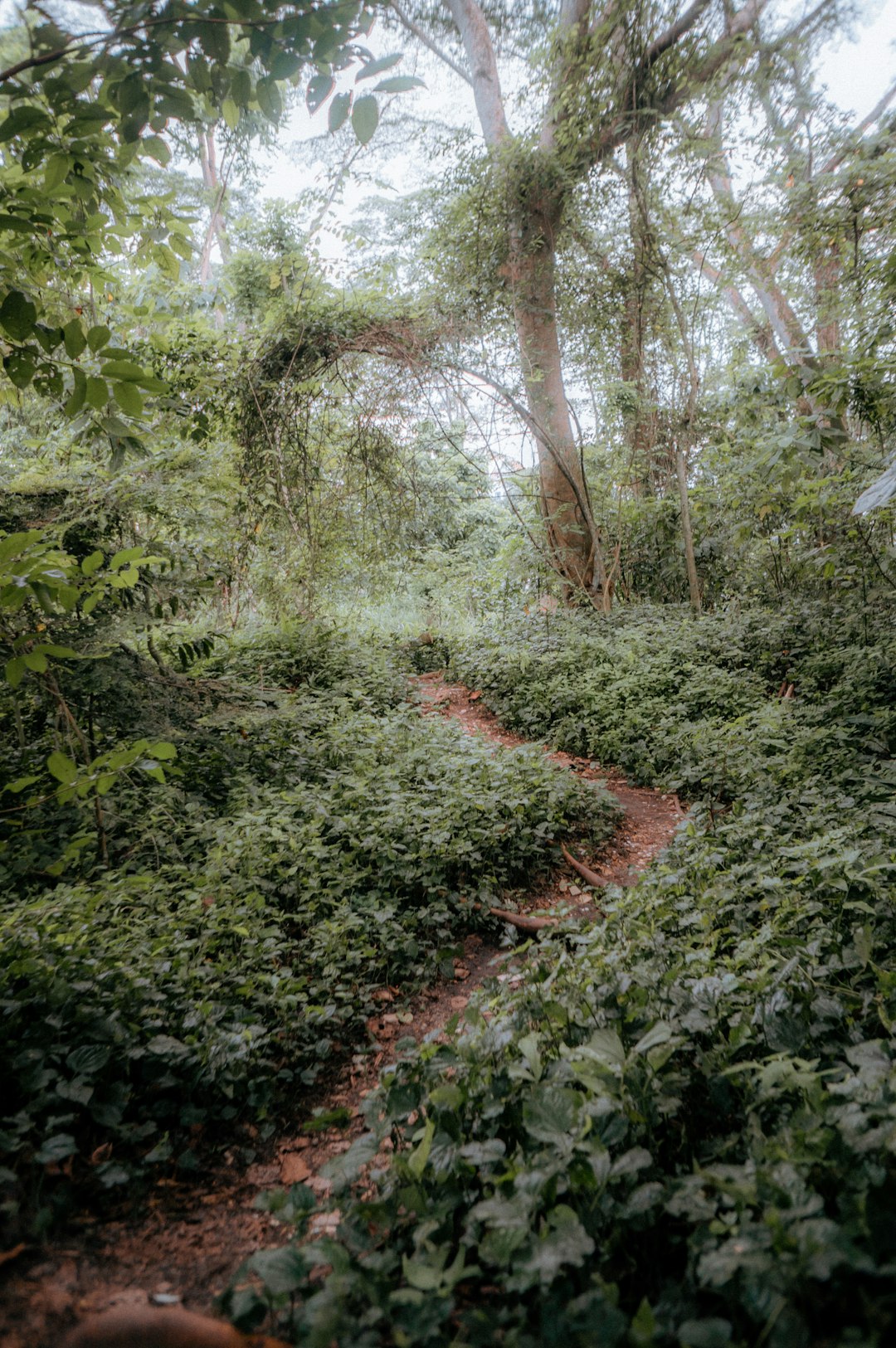 Picking the Right Customer for Your Land
