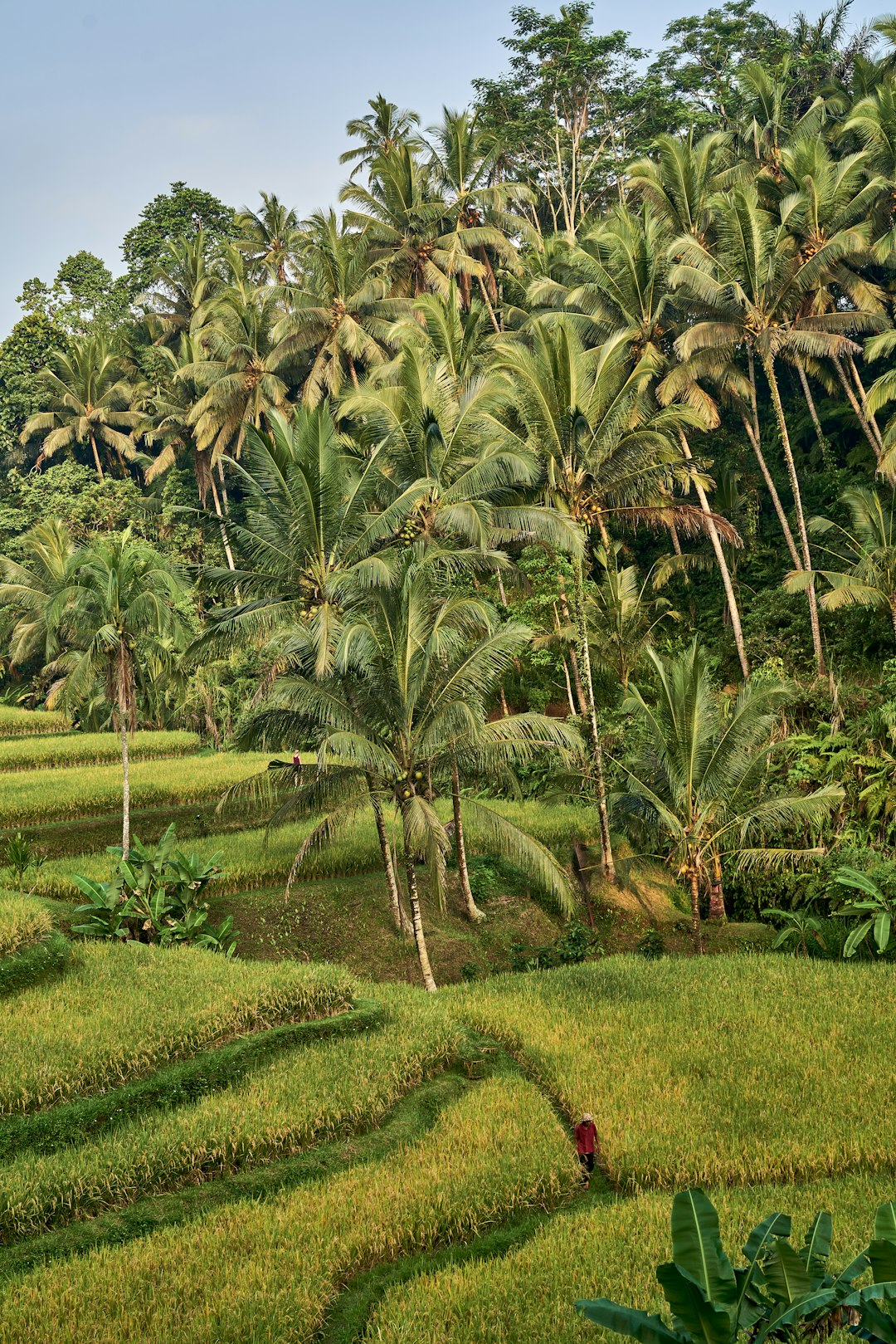 Maximizing Your Land's Marketing Possible