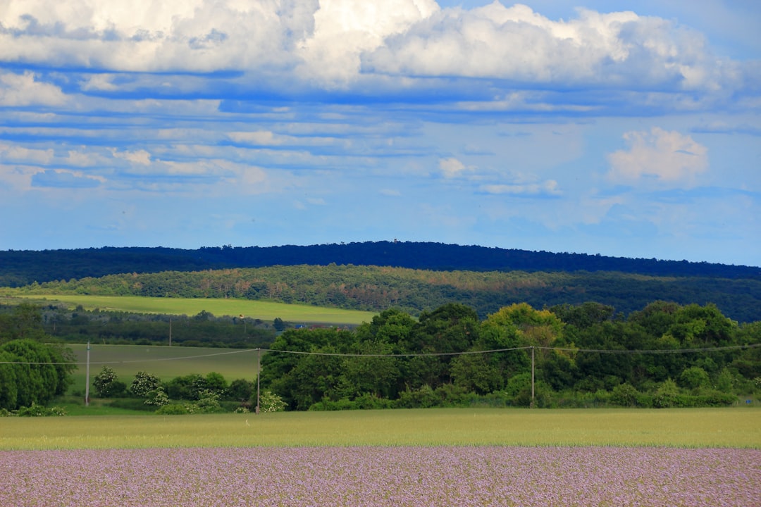 Sell Alabama land for cash