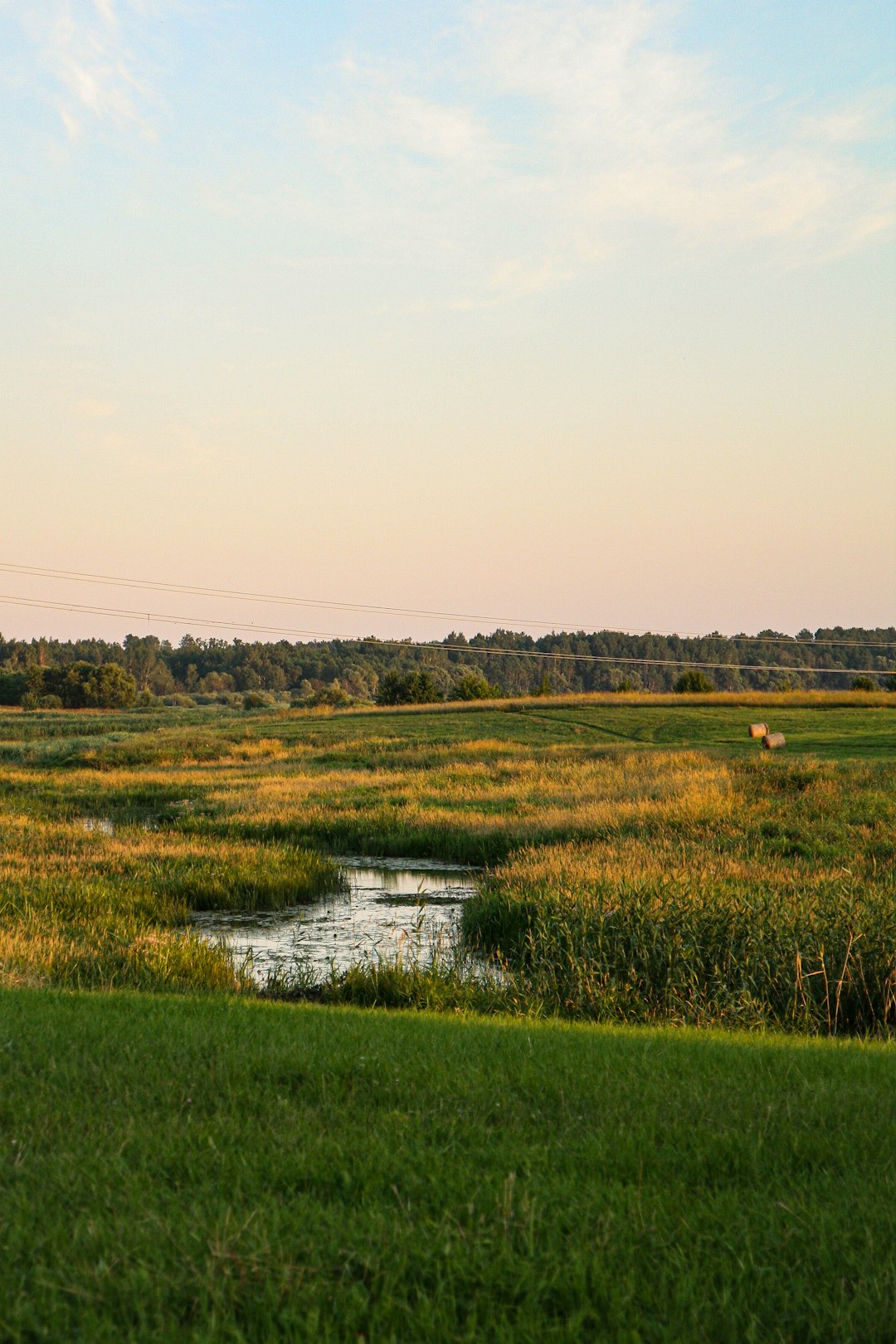 Ecological Concerns and Land Purchases