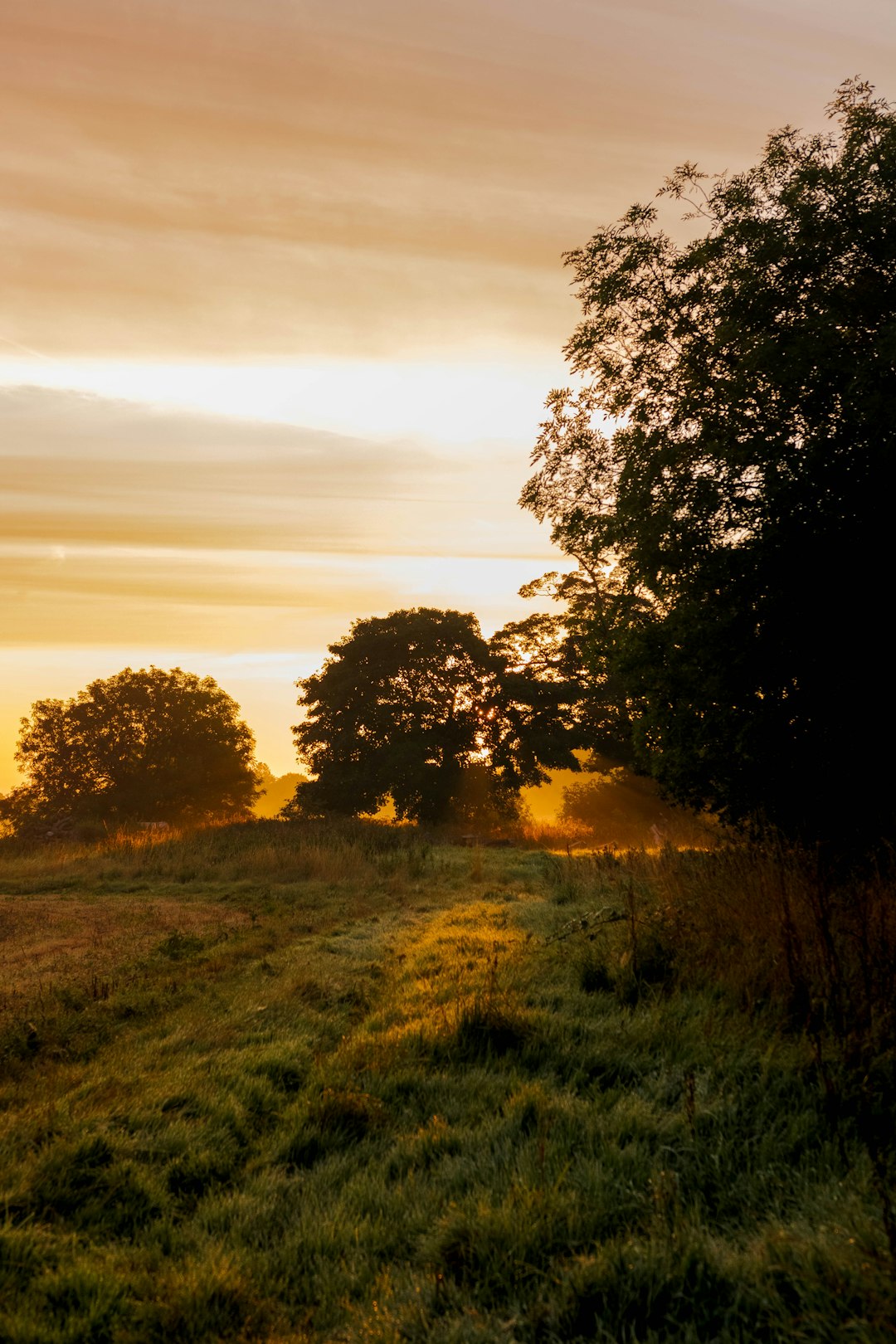 Optimizing Your Financial Investment: Tips and Strategies for Mississippi Landownership