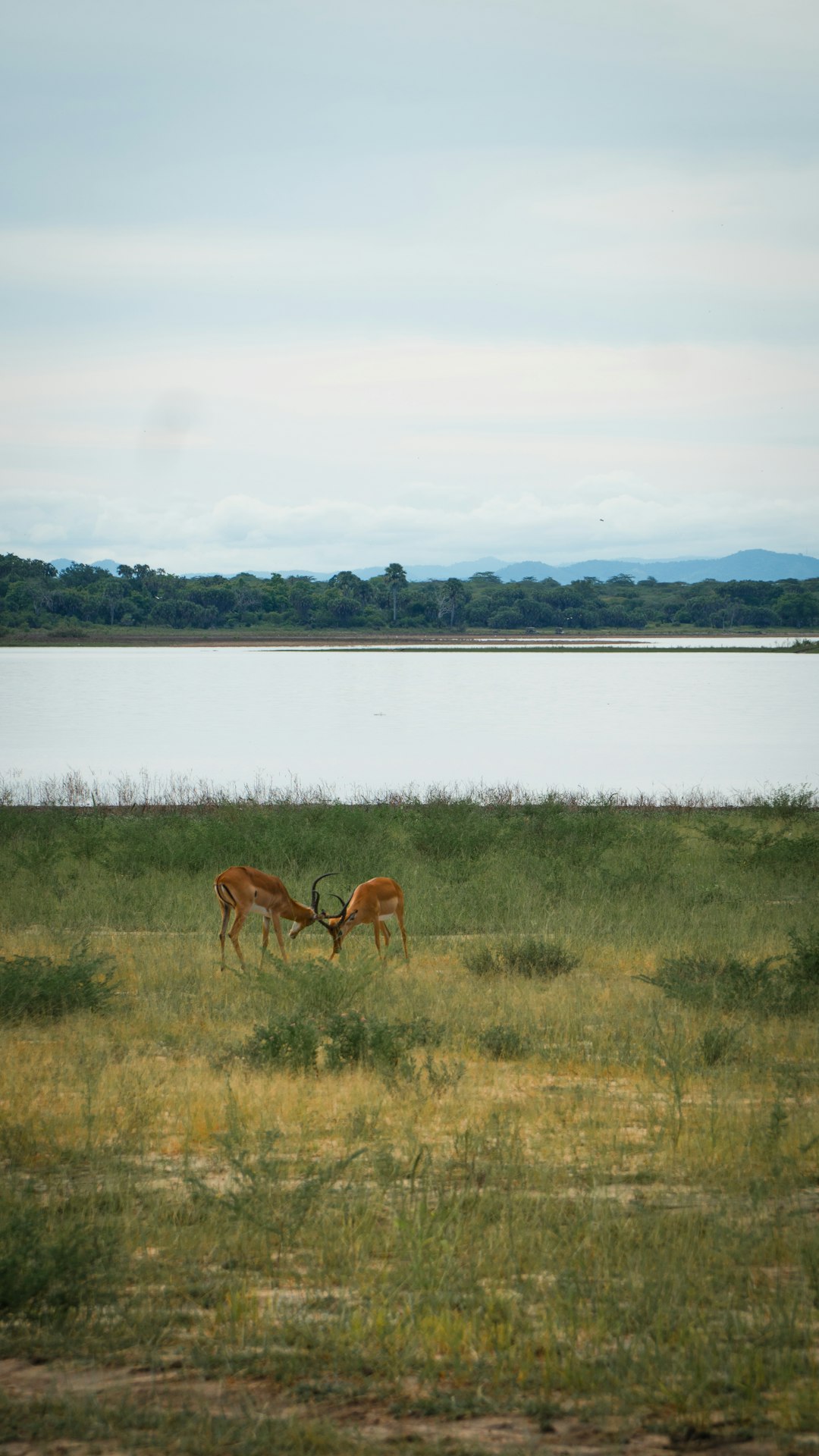 Funding Choices for Private Land Purchases