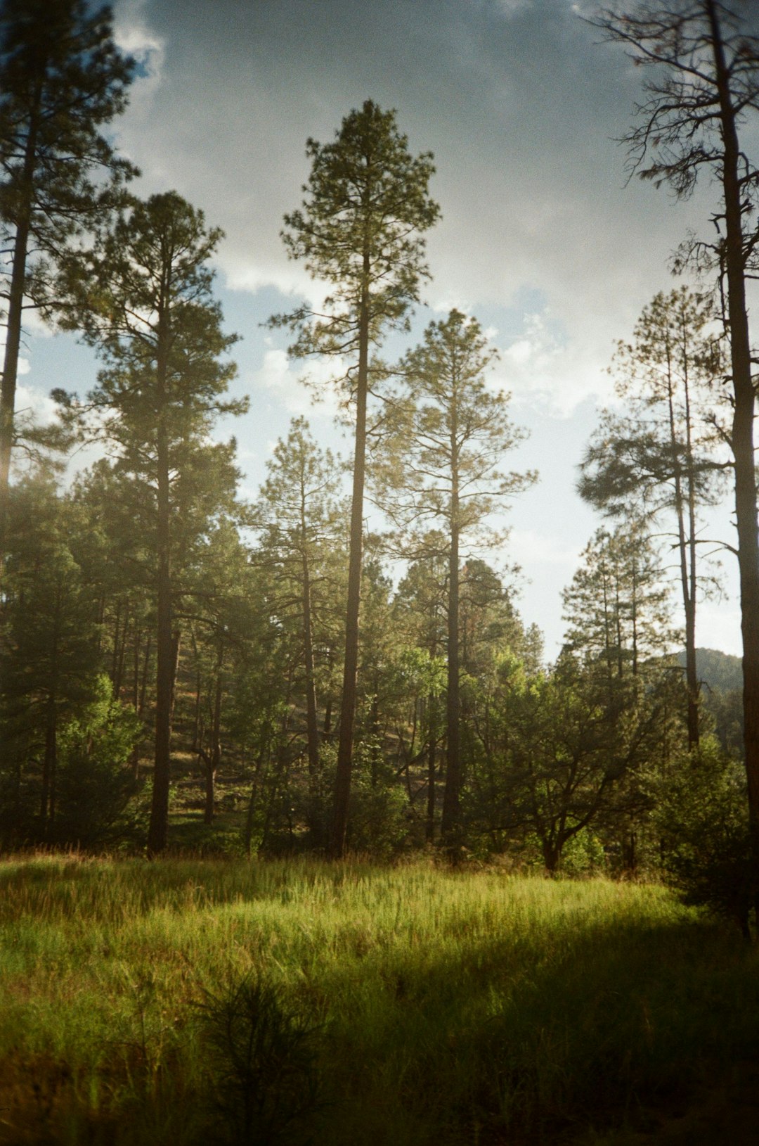 The Future of Land Possession in Michigan