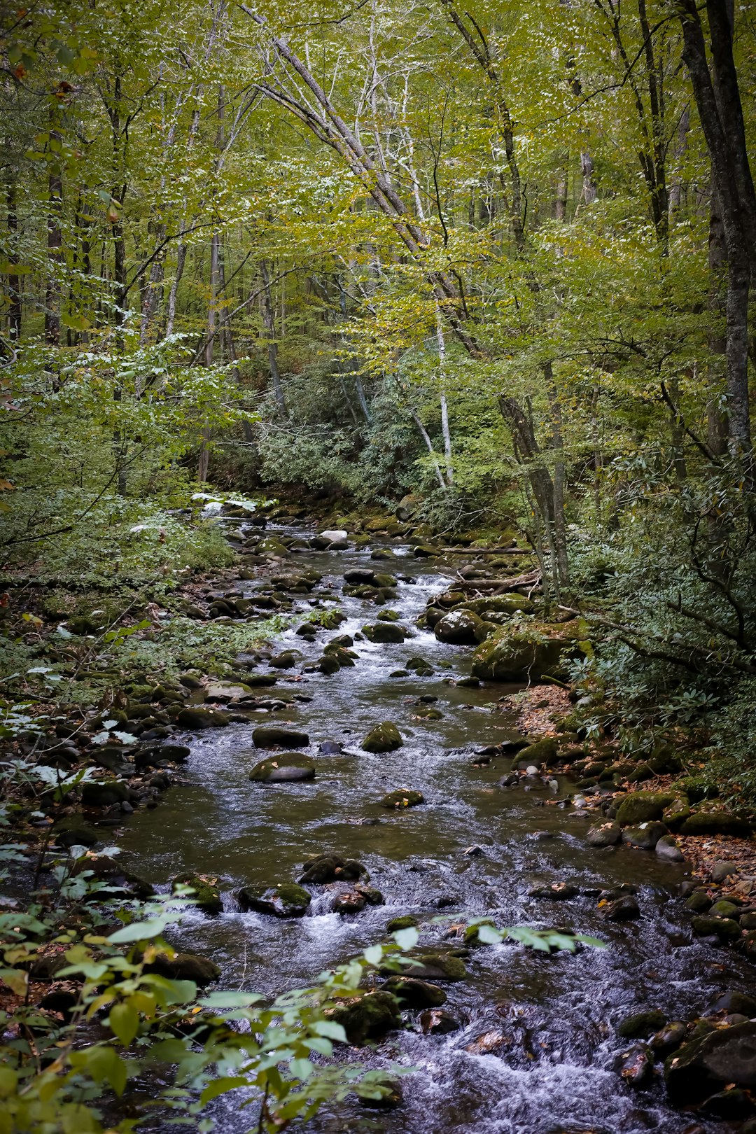 The Future of Land Possession in Michigan