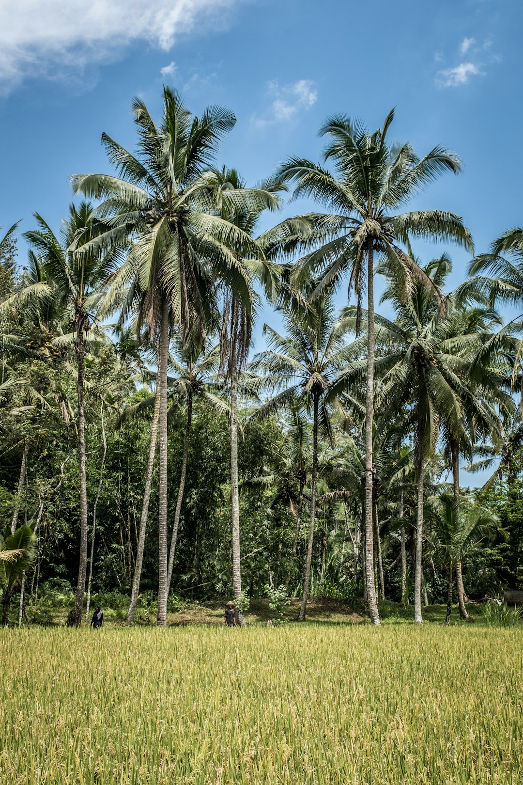 The Future of Land Ownership in Michigan