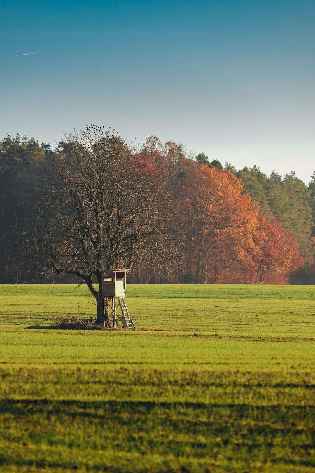 The Future of Land Possession in Michigan