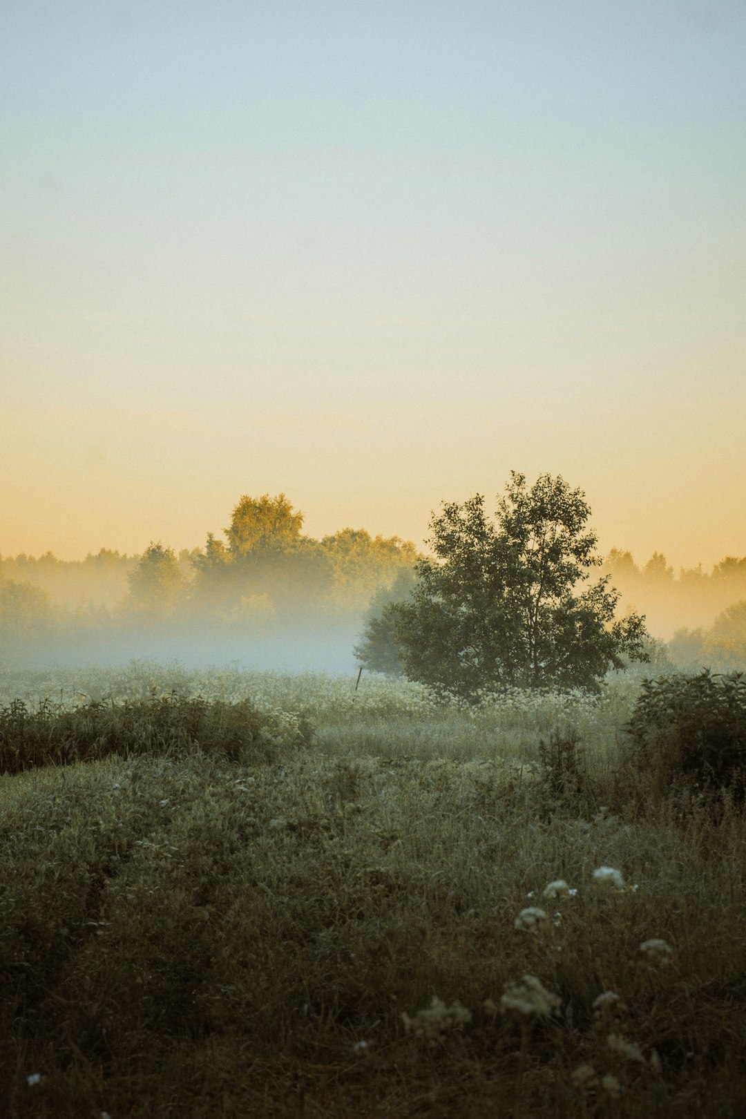 The Future of Land Ownership in Michigan