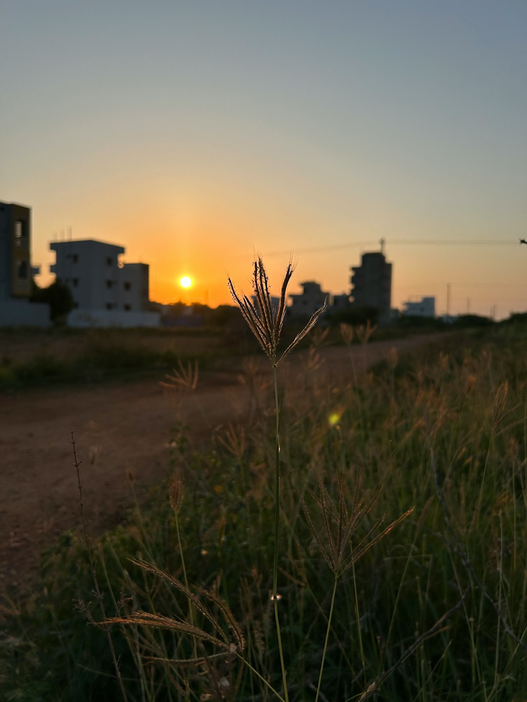 Preparing Your Land up for sale: Tips for Hawaiian Homeowner