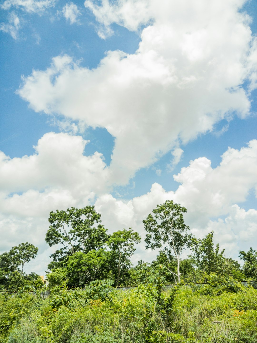 Trends in Agricultural Versus Urban Land Sales