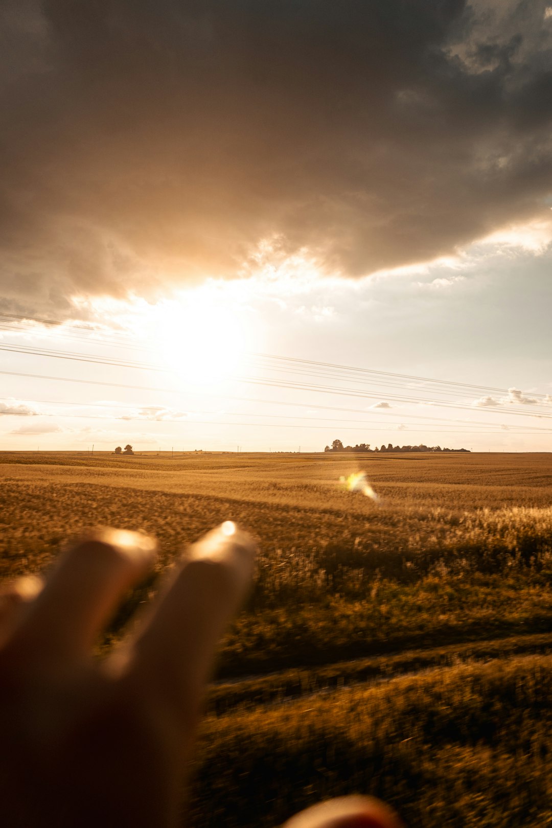 Fads in Agricultural Versus Urban Land Sales