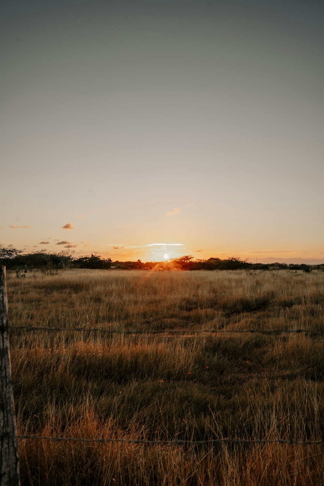 Checking Out Financing Choices for Land Purchase