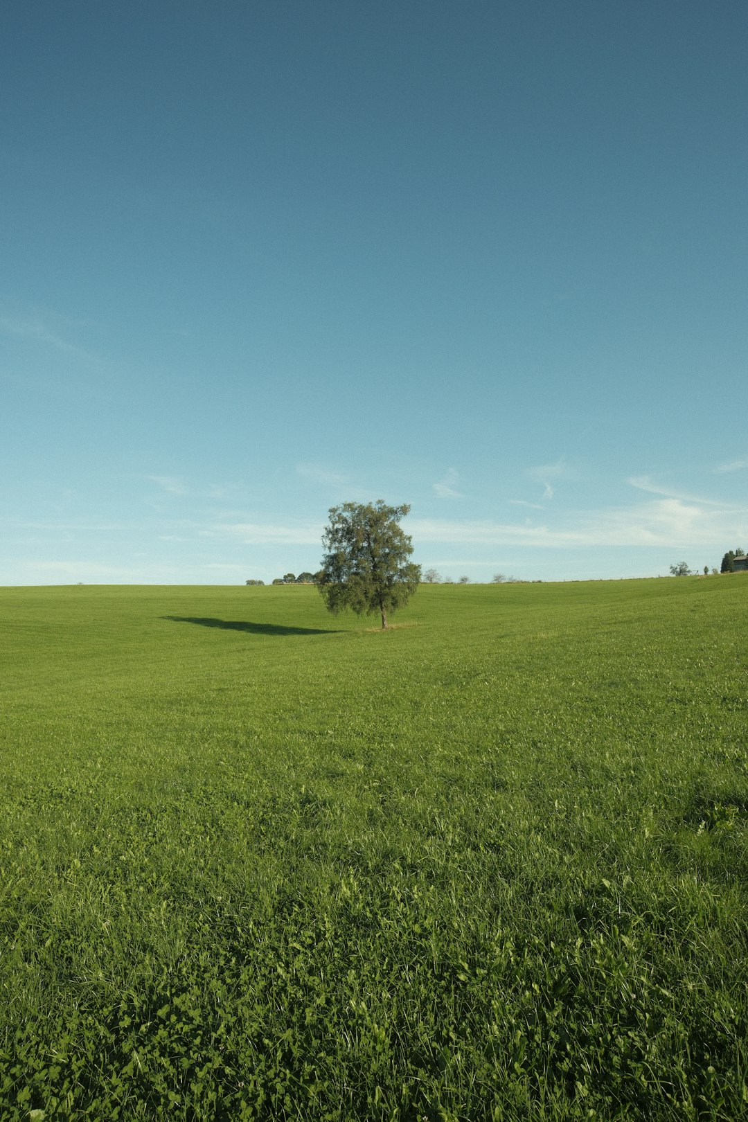 Checking out the Future of Ohio Land Investments