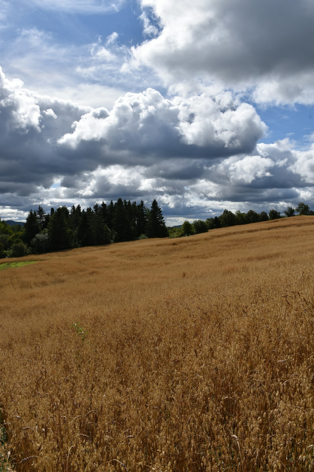 Discovering the Future of Ohio Land Investments