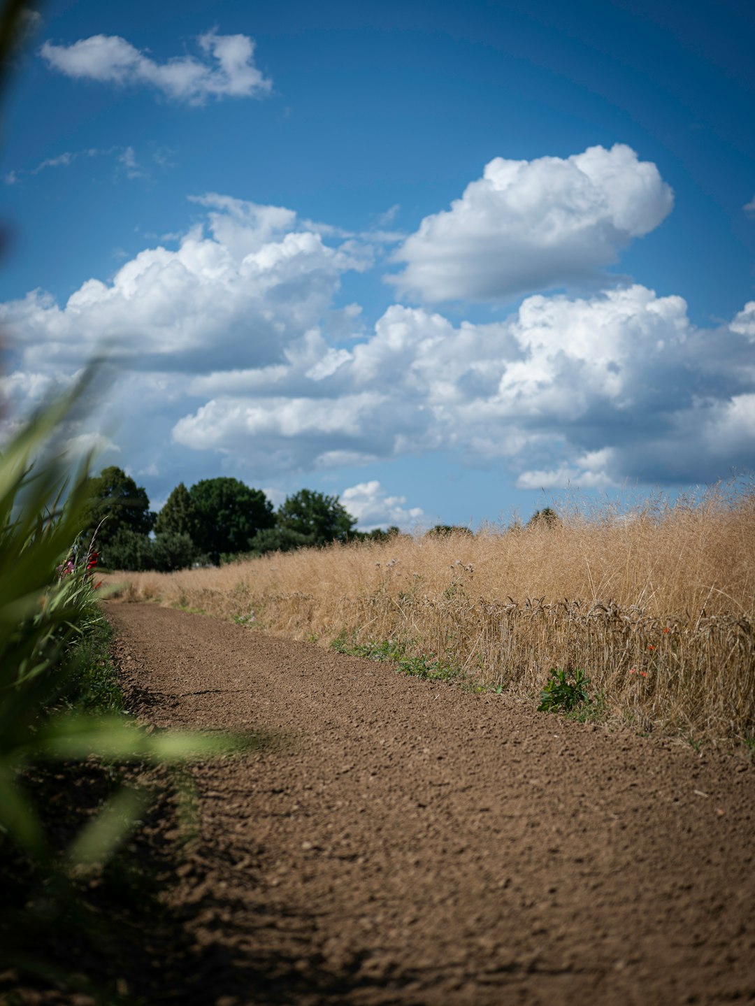 Land appraisal in Idaho