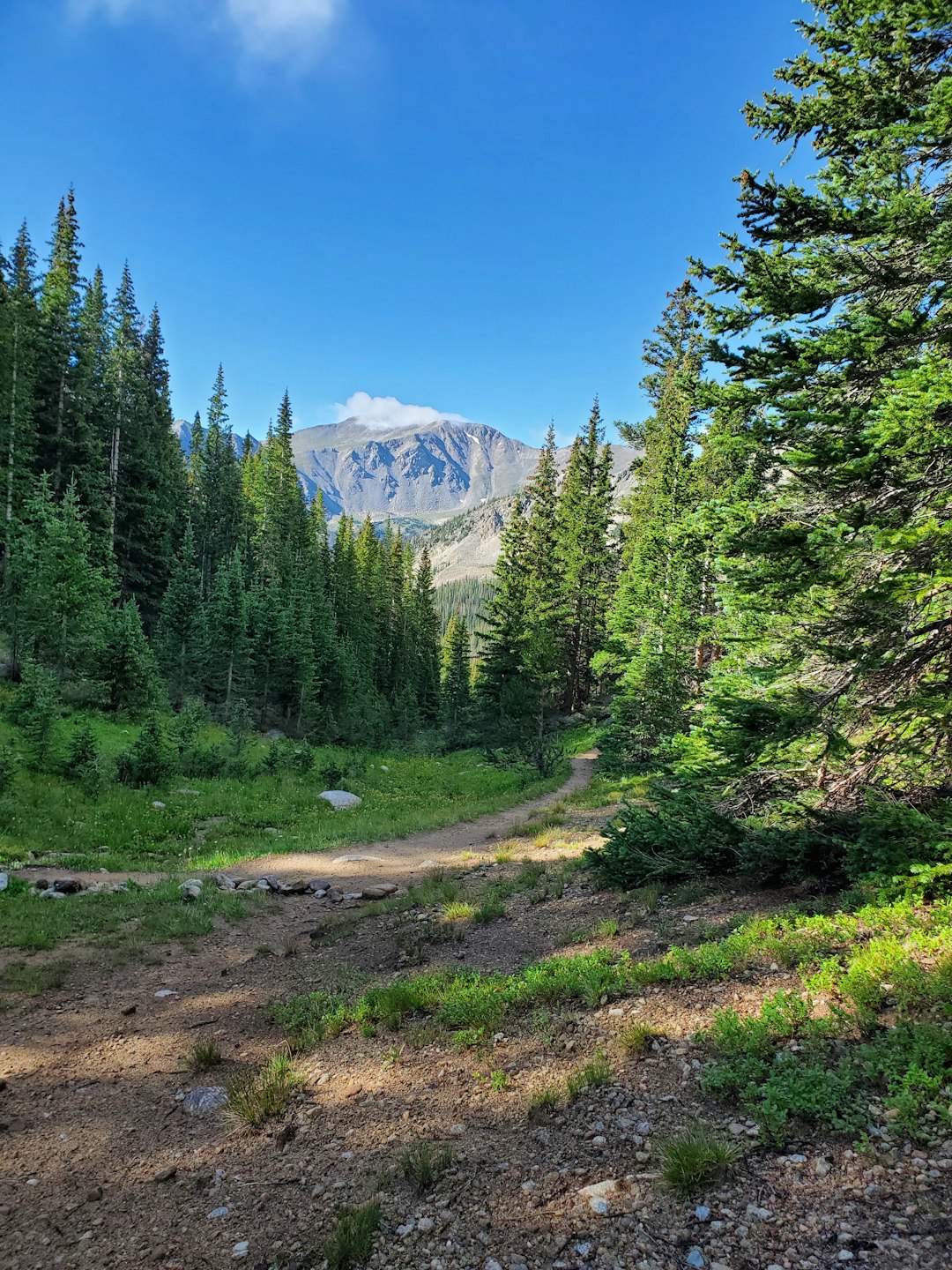 Selling Remote Utah Land for Cash Money