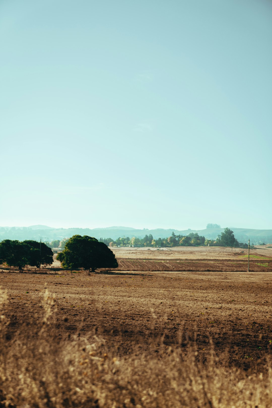 Advertising And Marketing Your Wyoming Land to Cash Customers