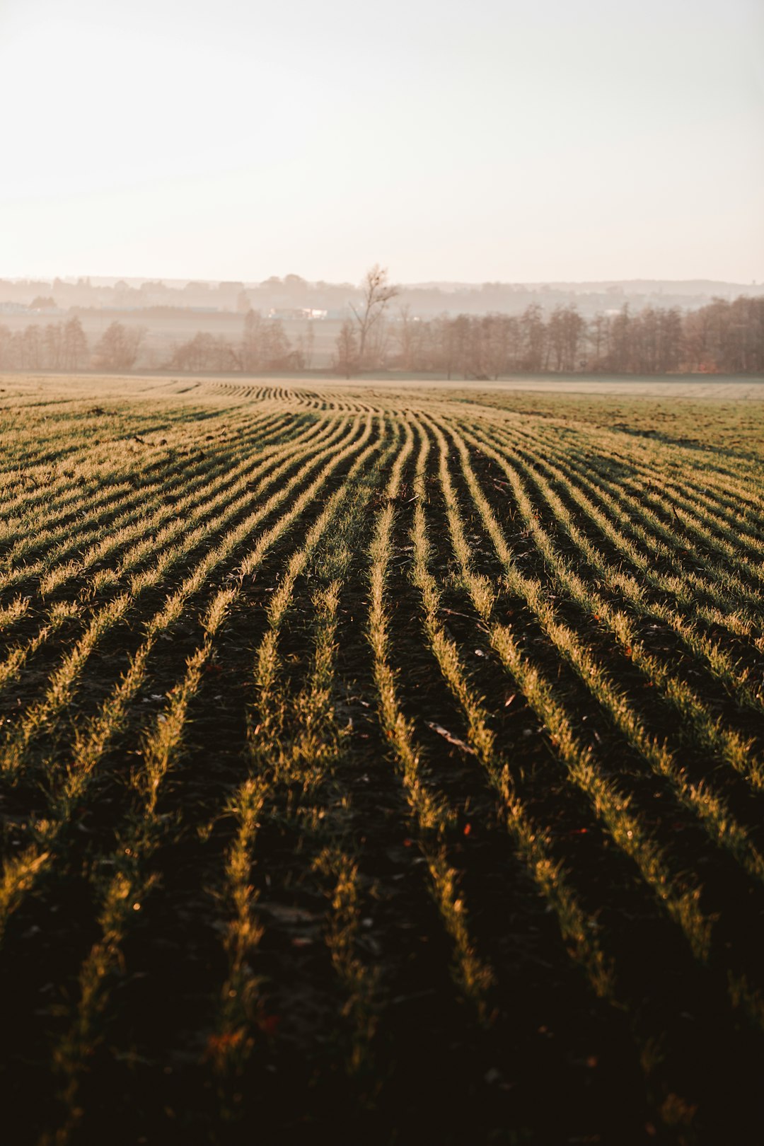 The Advantages of Selling Wyoming Land for Cash Money