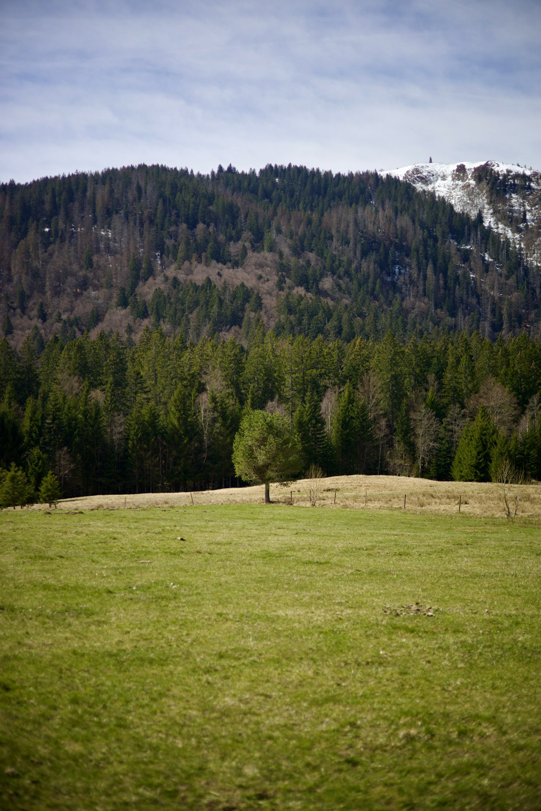 Checking Out Financing Choices for Land Acquisition