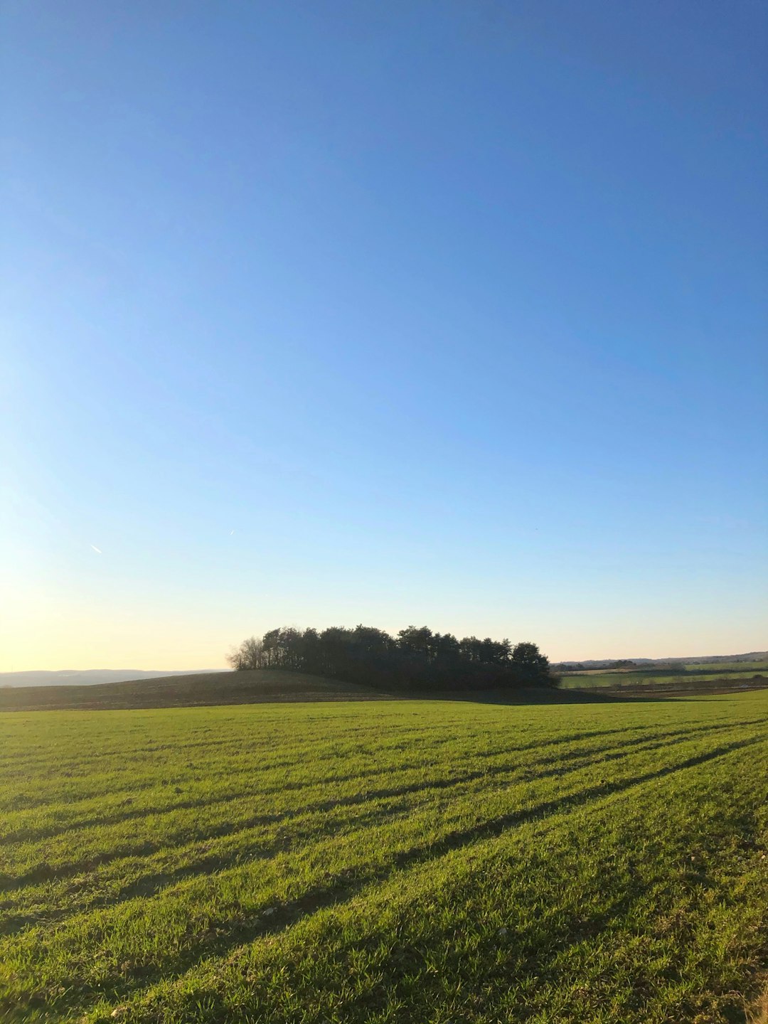 Marketing Arkansas Farmland for Cash Money Customers