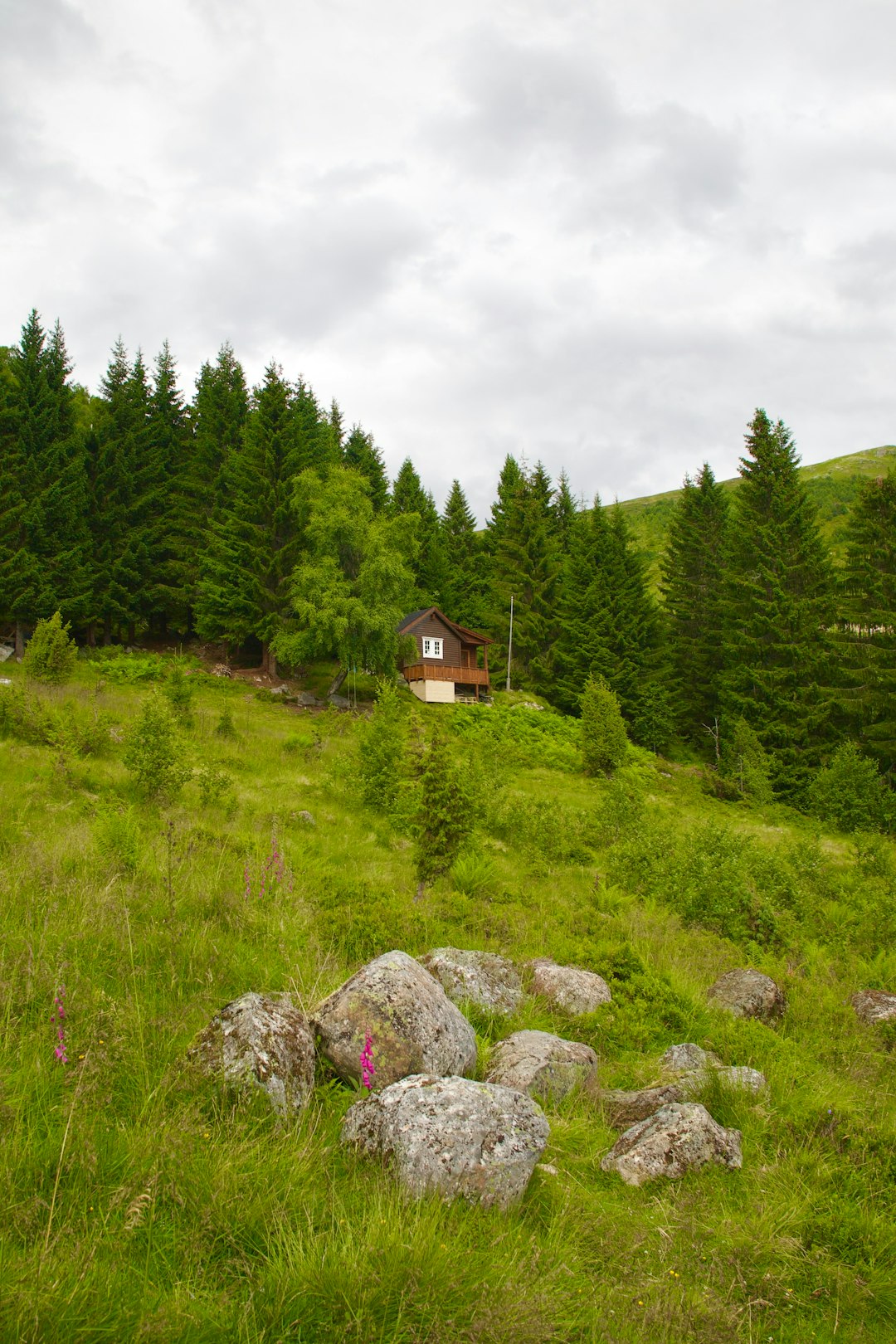 Examining Land for Agriculture or Development