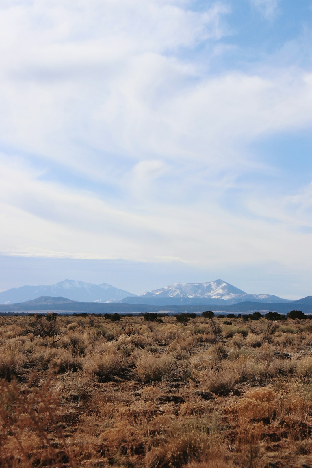 The Process of Selling Land for Cash Money