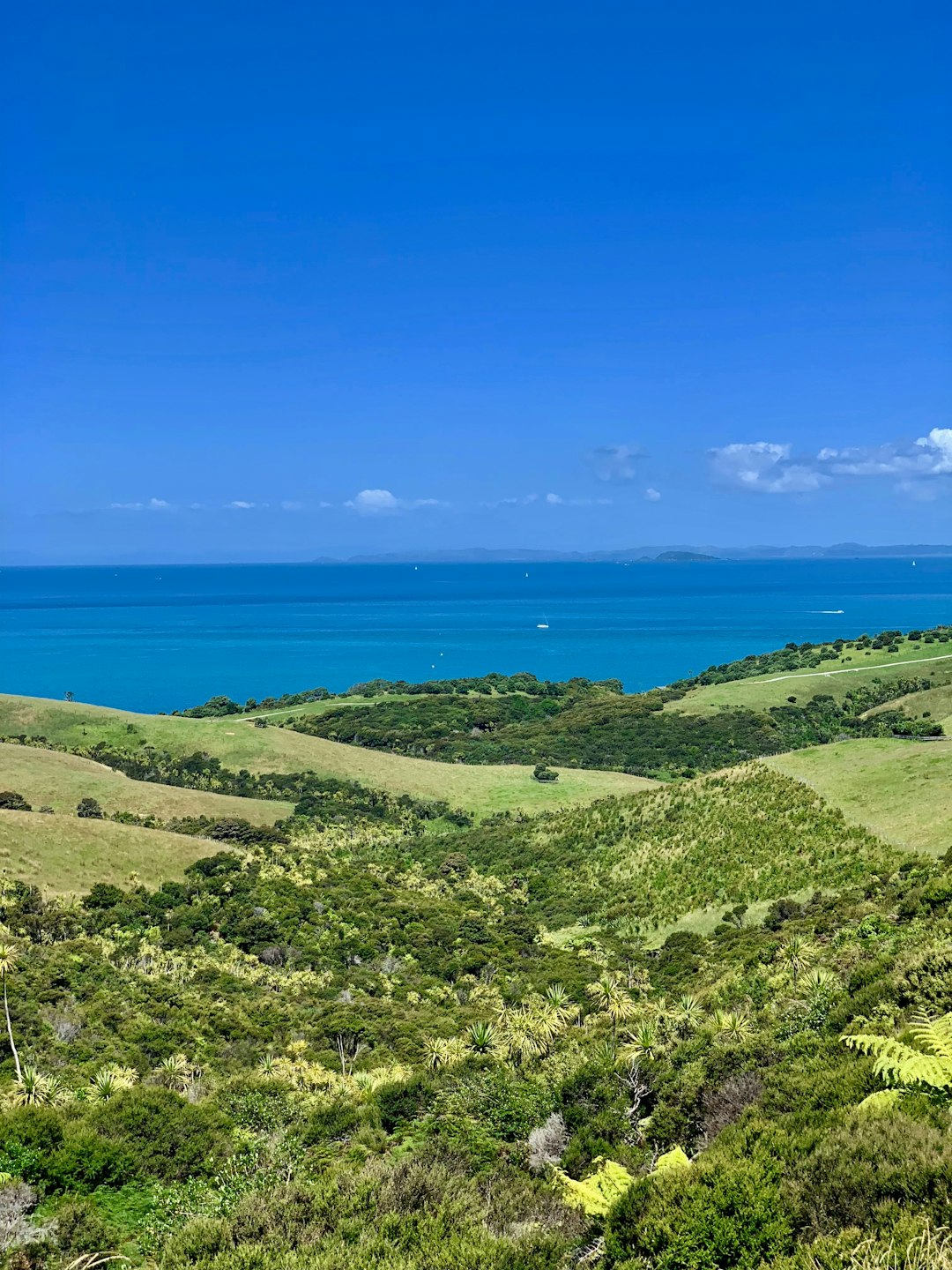 Advertising Your Land to Possible Money Customers