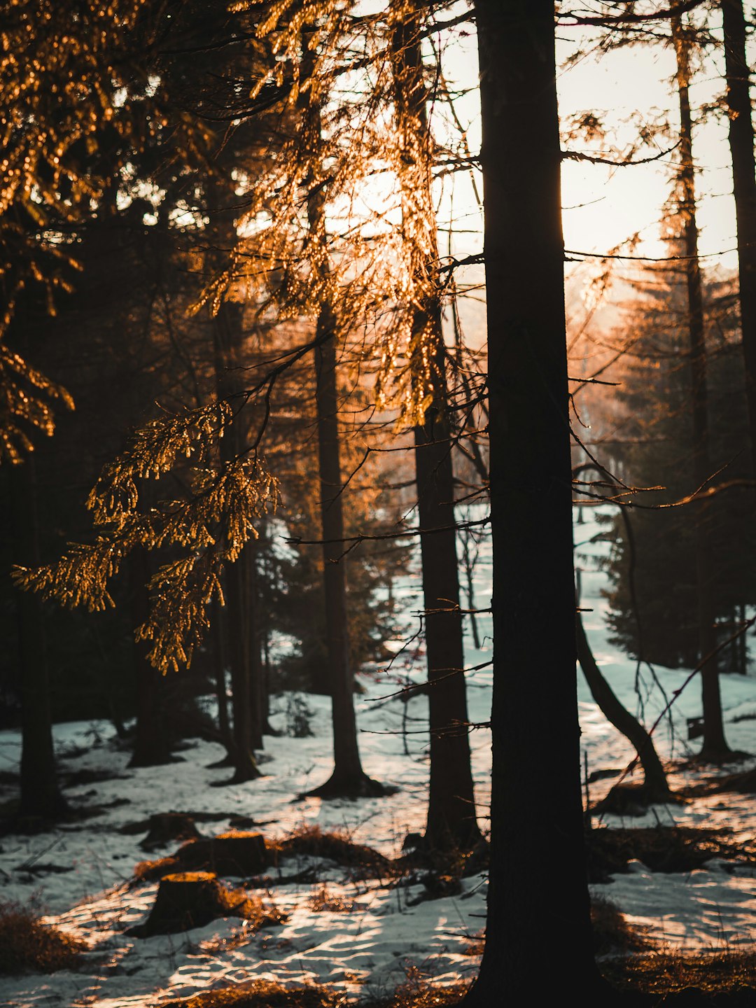 Pricing Minnesota Land for a Cash Money Sale