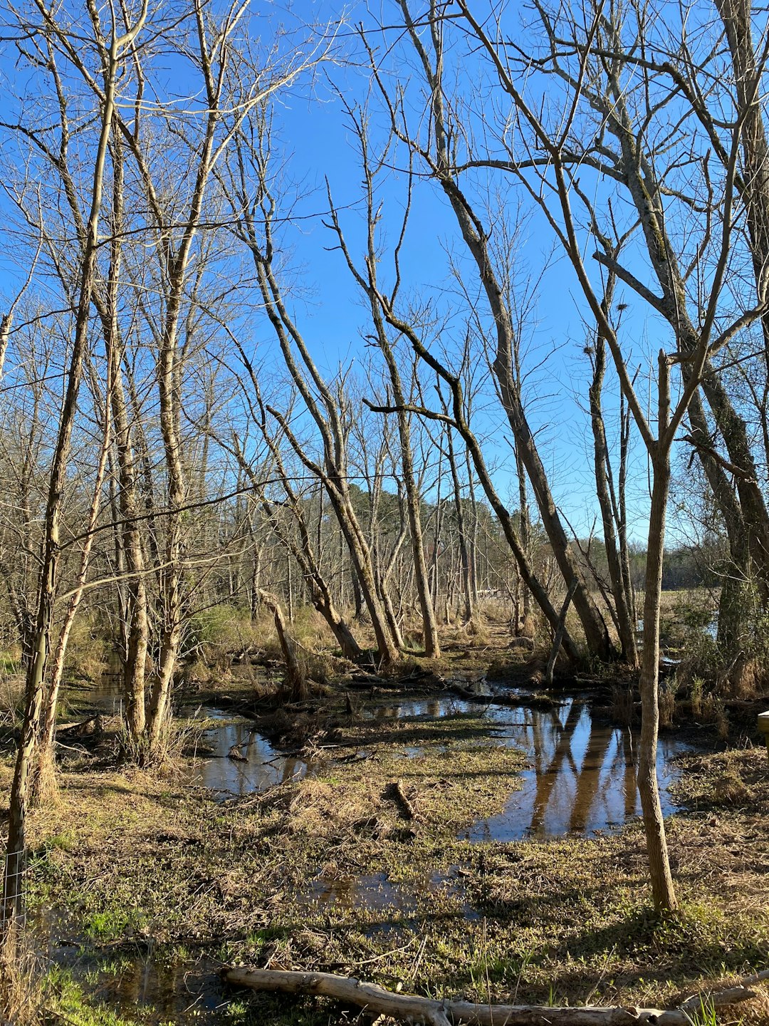 How to Price Wisconsin Land for a Money Sale