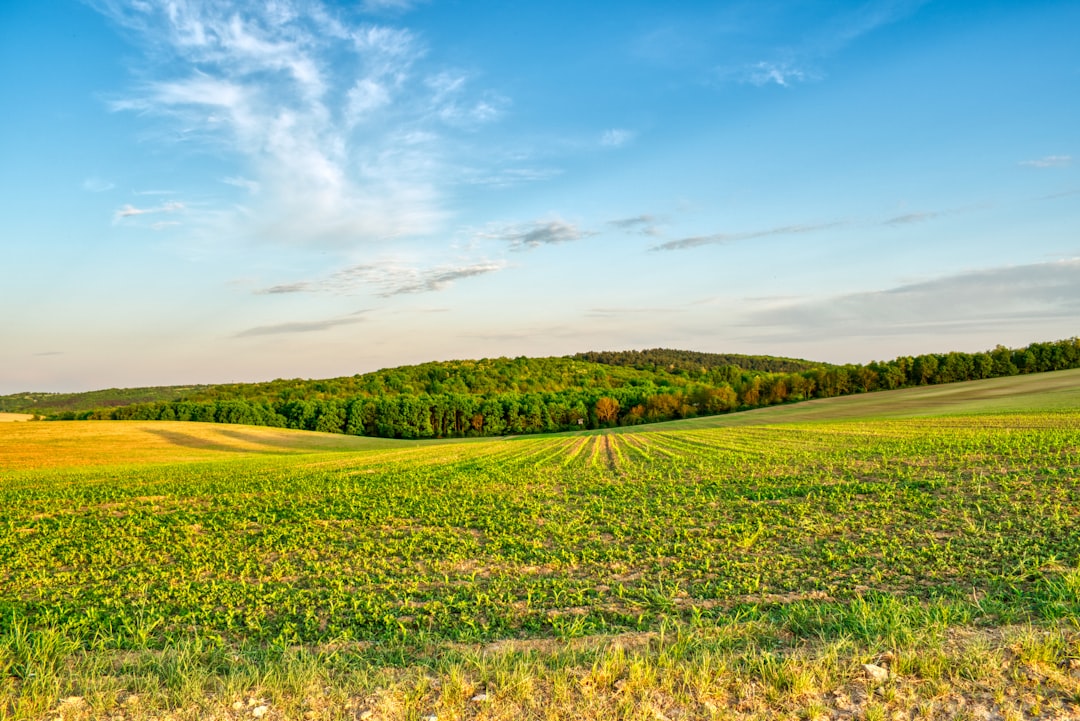 Sell Nebraska land for cash