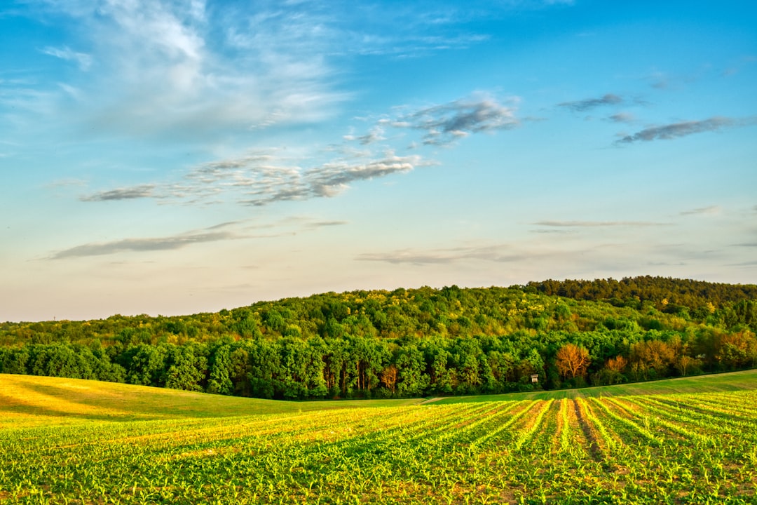 Nebraska land buyer