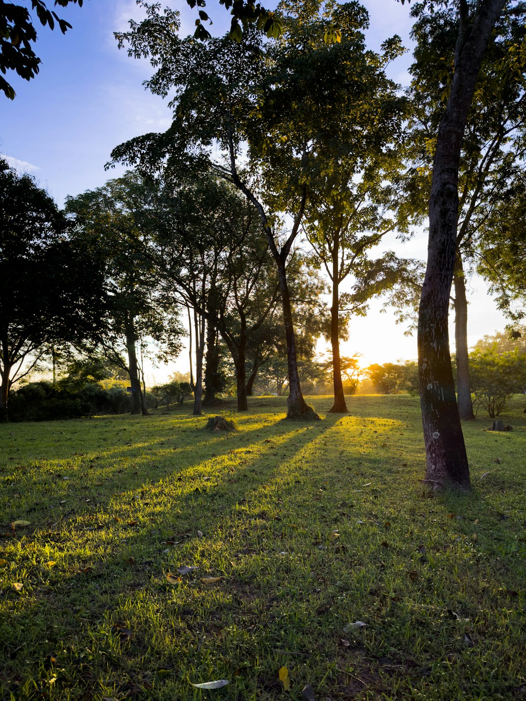 Sustainable Living and Agriculture Possible