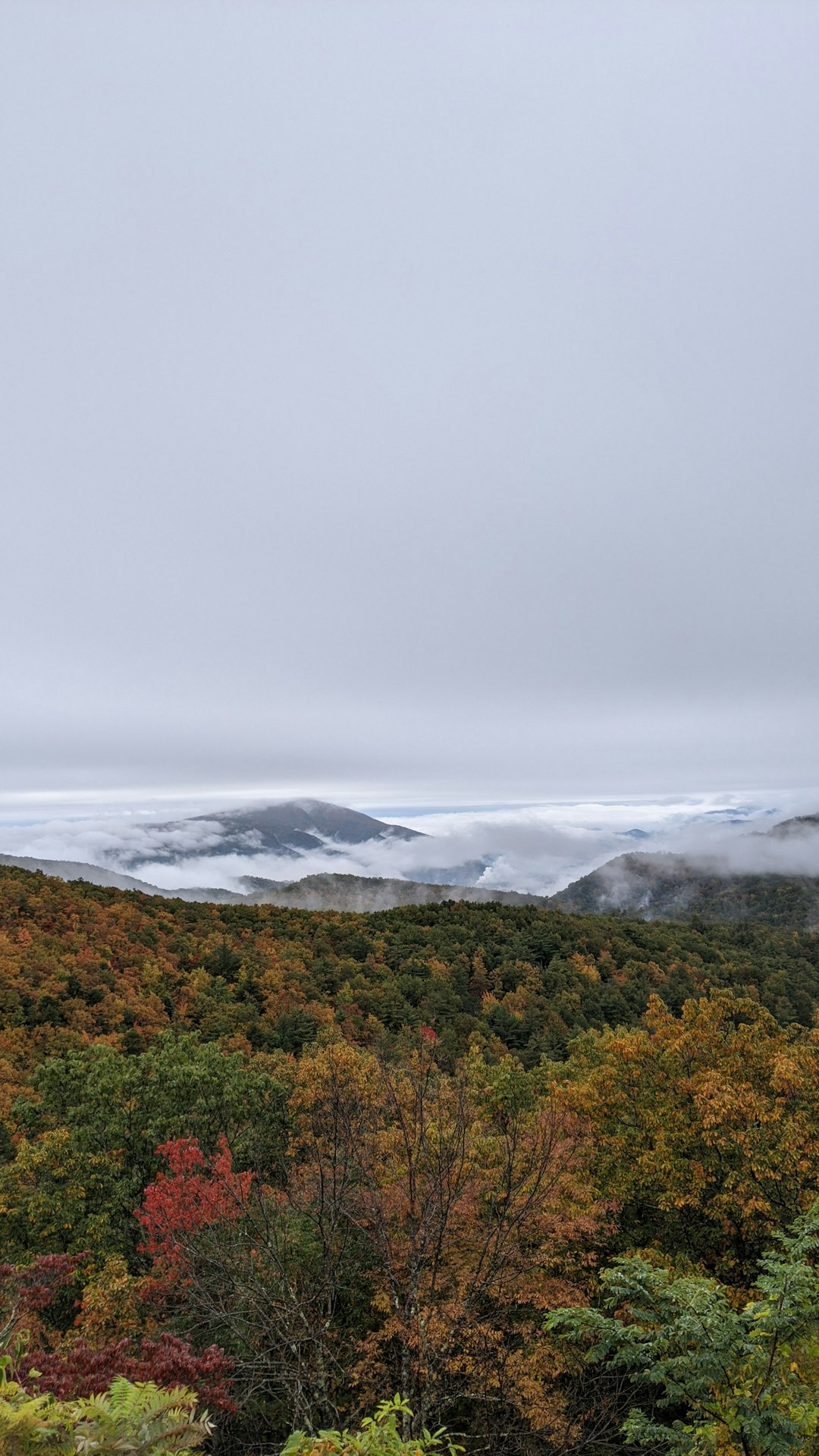 Seasonal Climate and Land Upkeep