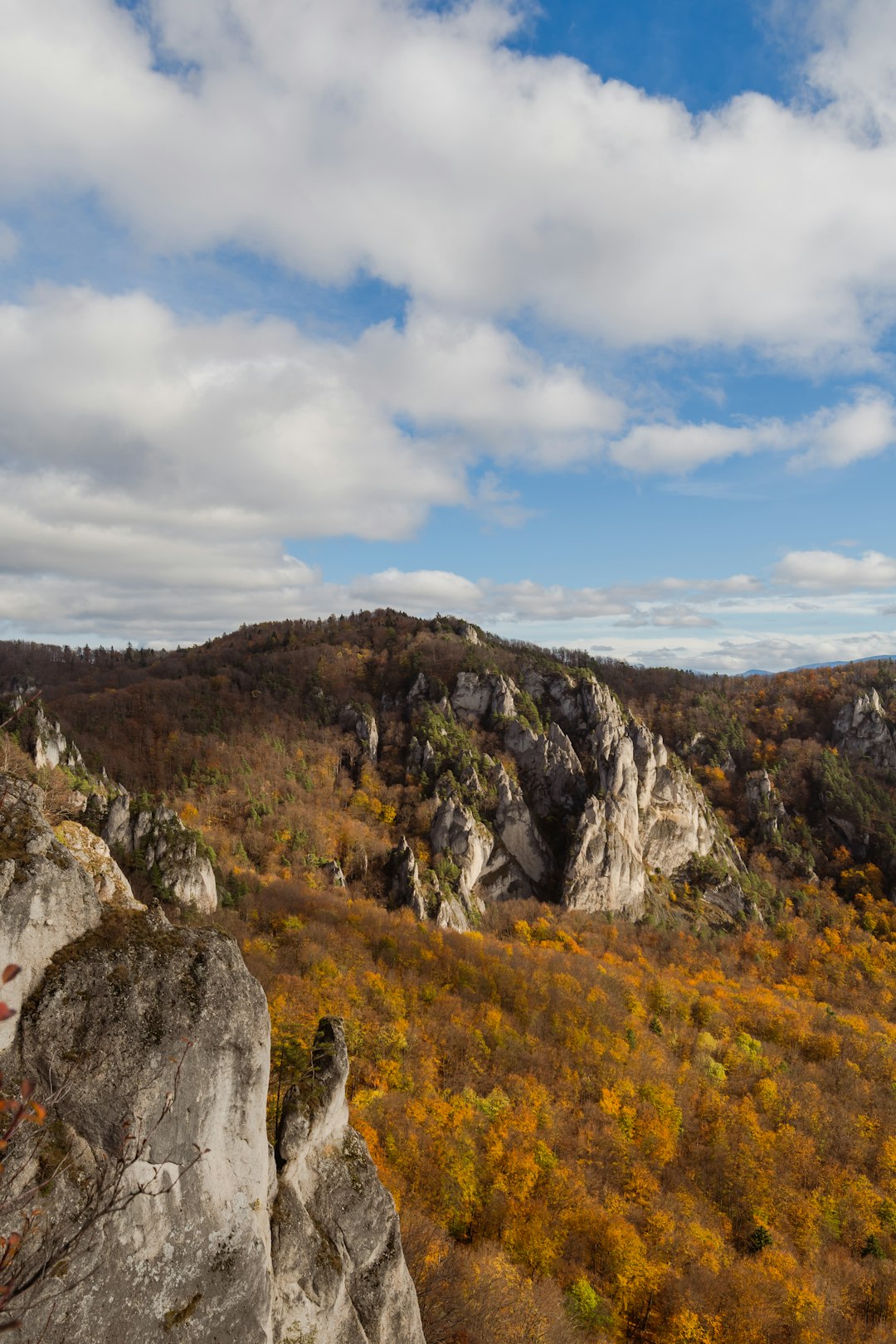 Seasonal Climate and Land Maintenance