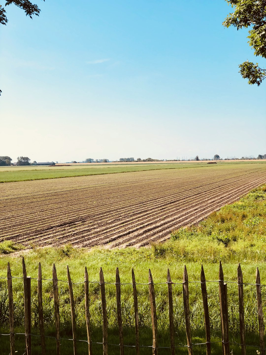 Seasonal Climate and Land Upkeep