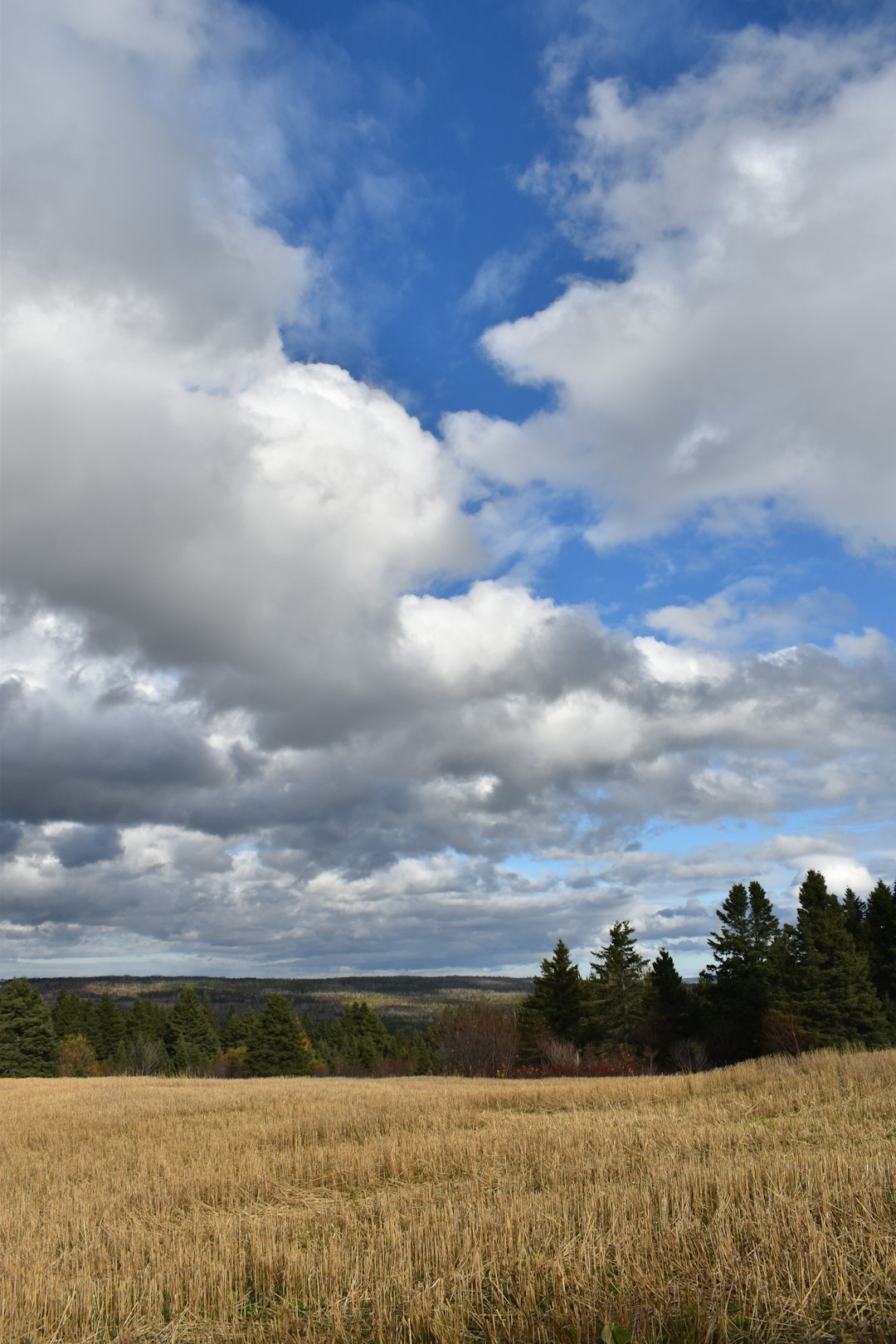 Interpreting Historic Study Information in Maine