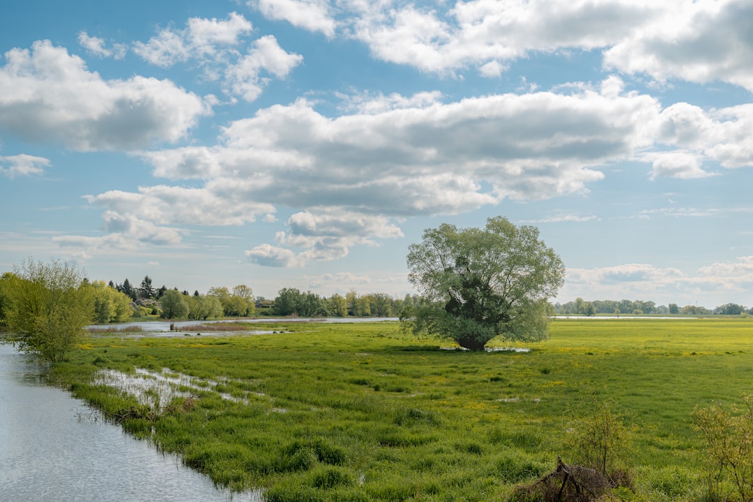 Legal considerations in land buying