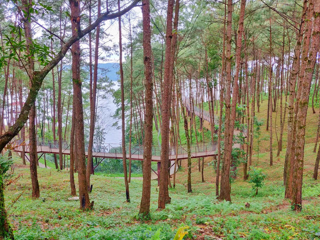 We Acquire Land: The Fastest Means to Sell Your Residential Property for Cash