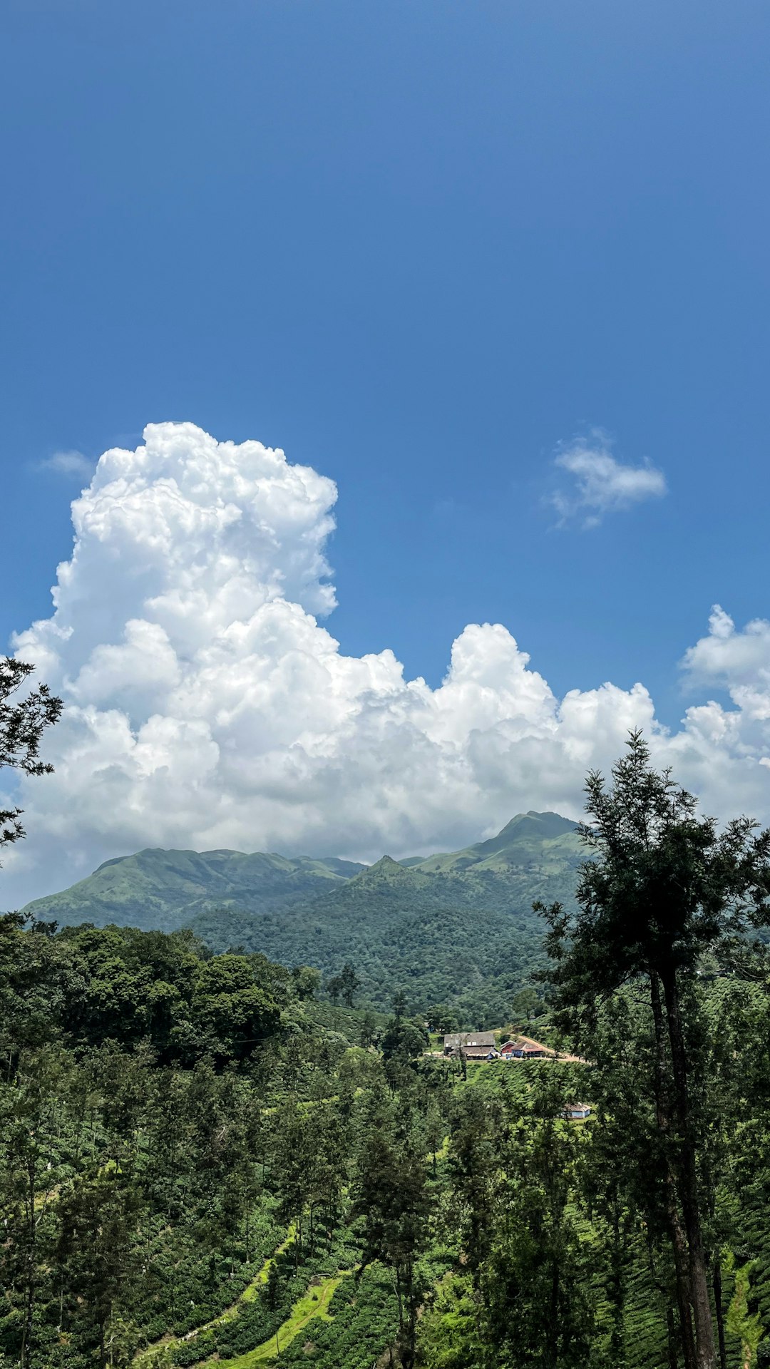 We Purchase Land: Quick and Fair Cash Uses for Your Residential property