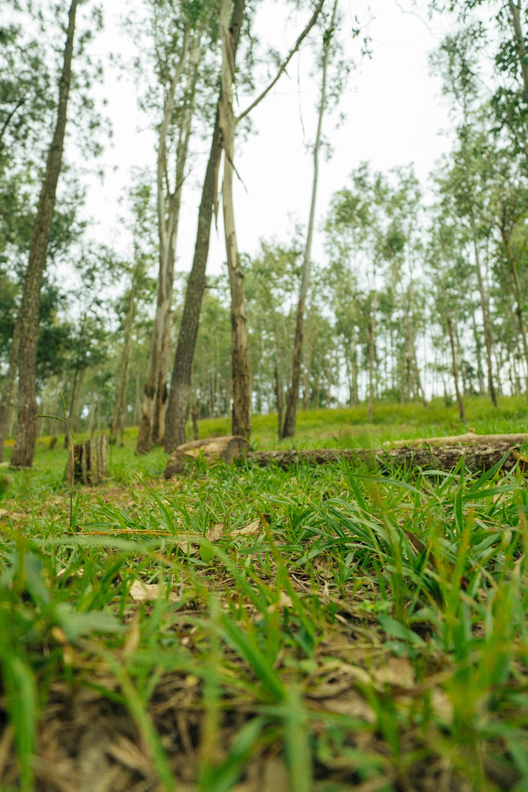 We Buy Land: Quick and Fair Cash Offers for Your Property