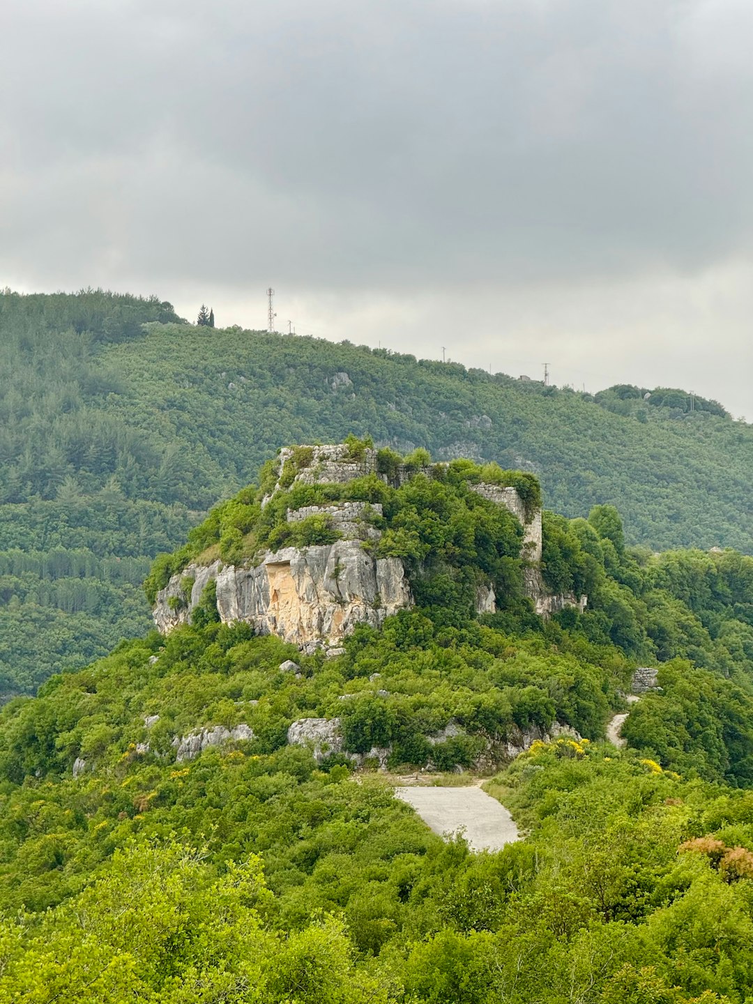 We Acquire Land: A Rapid and Easy Method to Sell Your Land