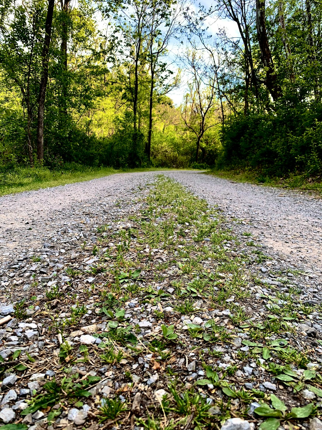 We Buy Land: A Rapid and Easy Means to Offer Your Land