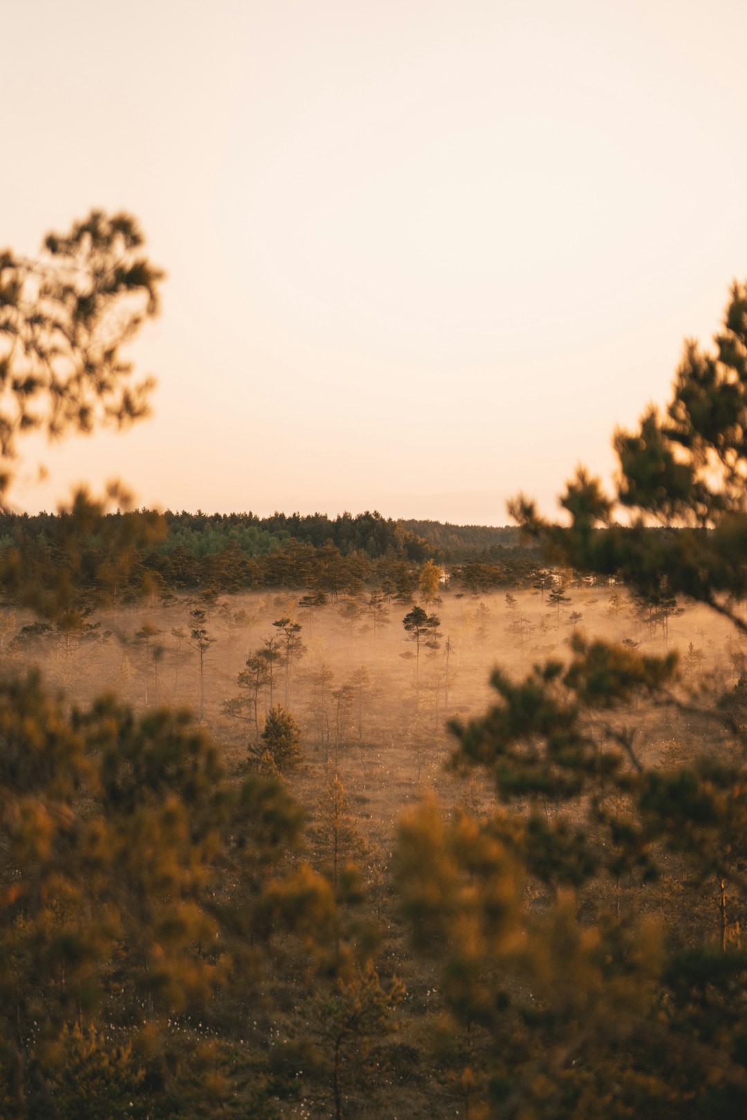 We Purchase Land: Quick and Fair Cash Uses for Your Residential property