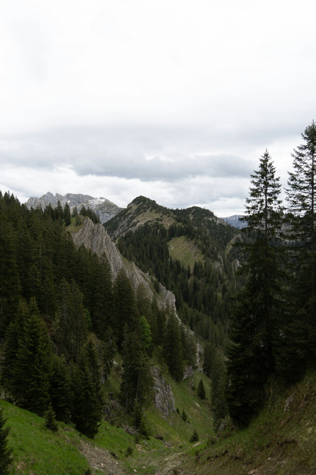 We Purchase Land: A Stress-Free Means to Offer Your Property