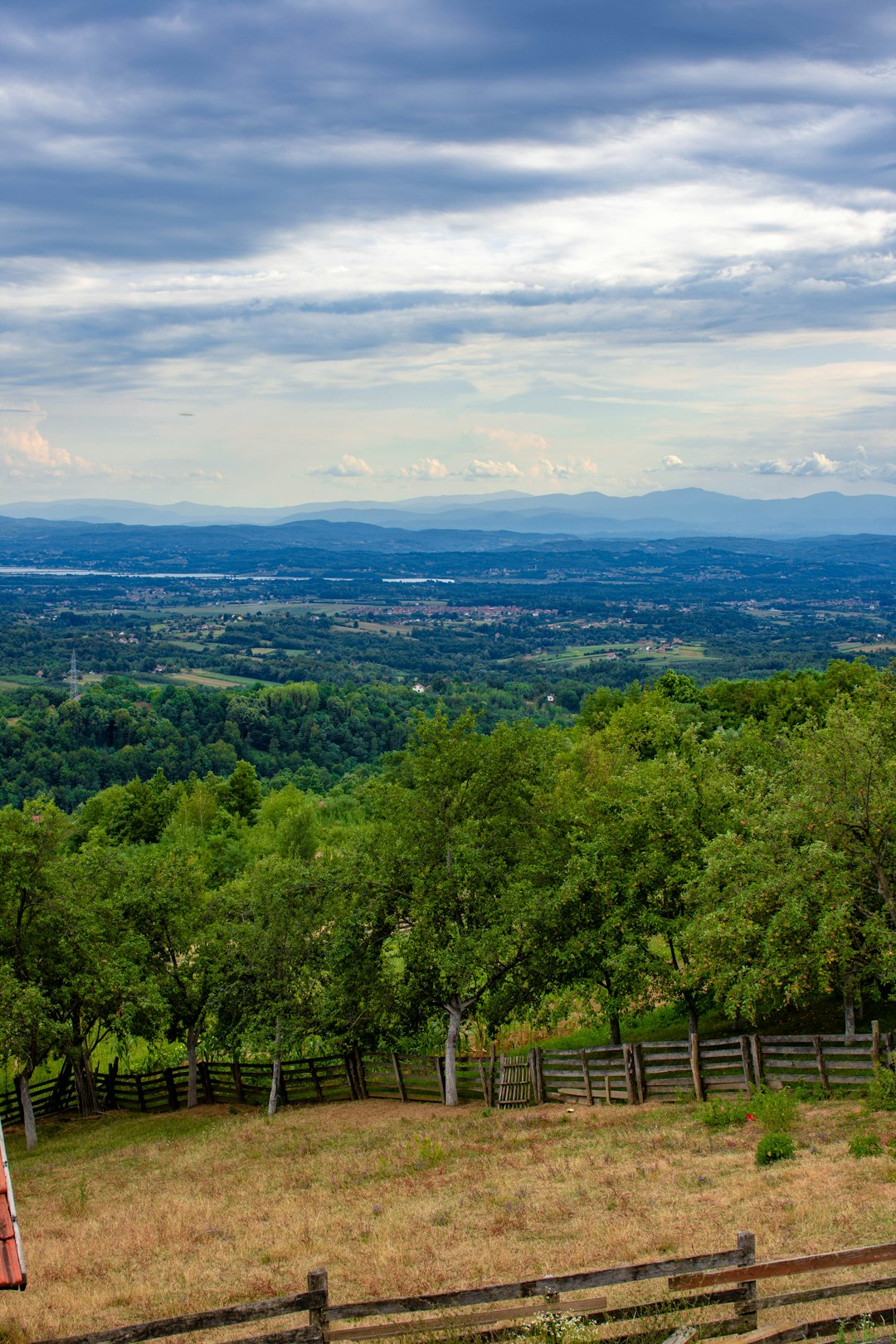 What to Seek When Searching for Land